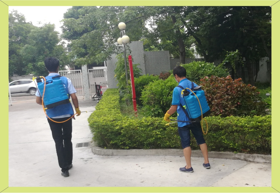 20190814登革热防治-4.jpg